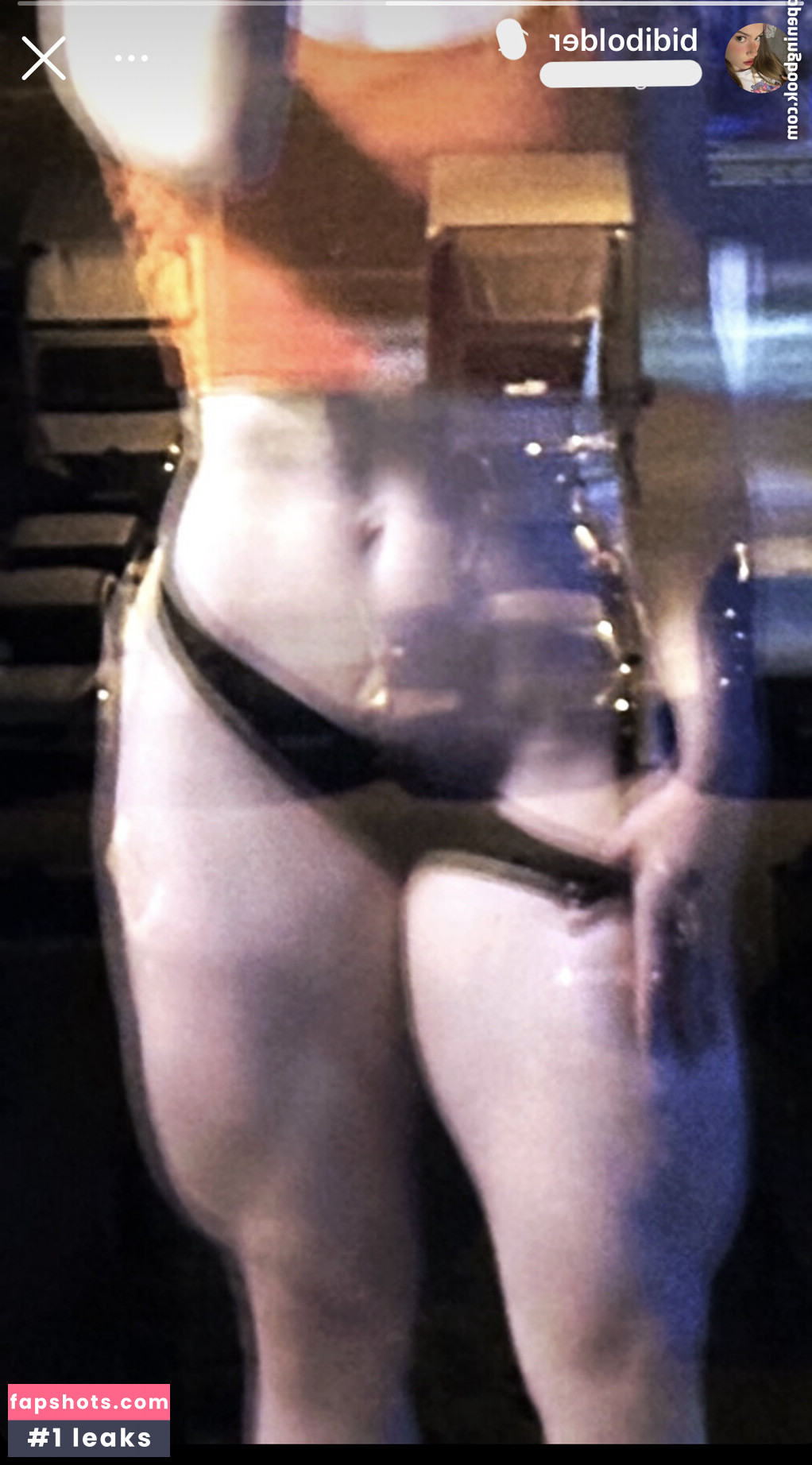 Bidibolder gallery photo #4