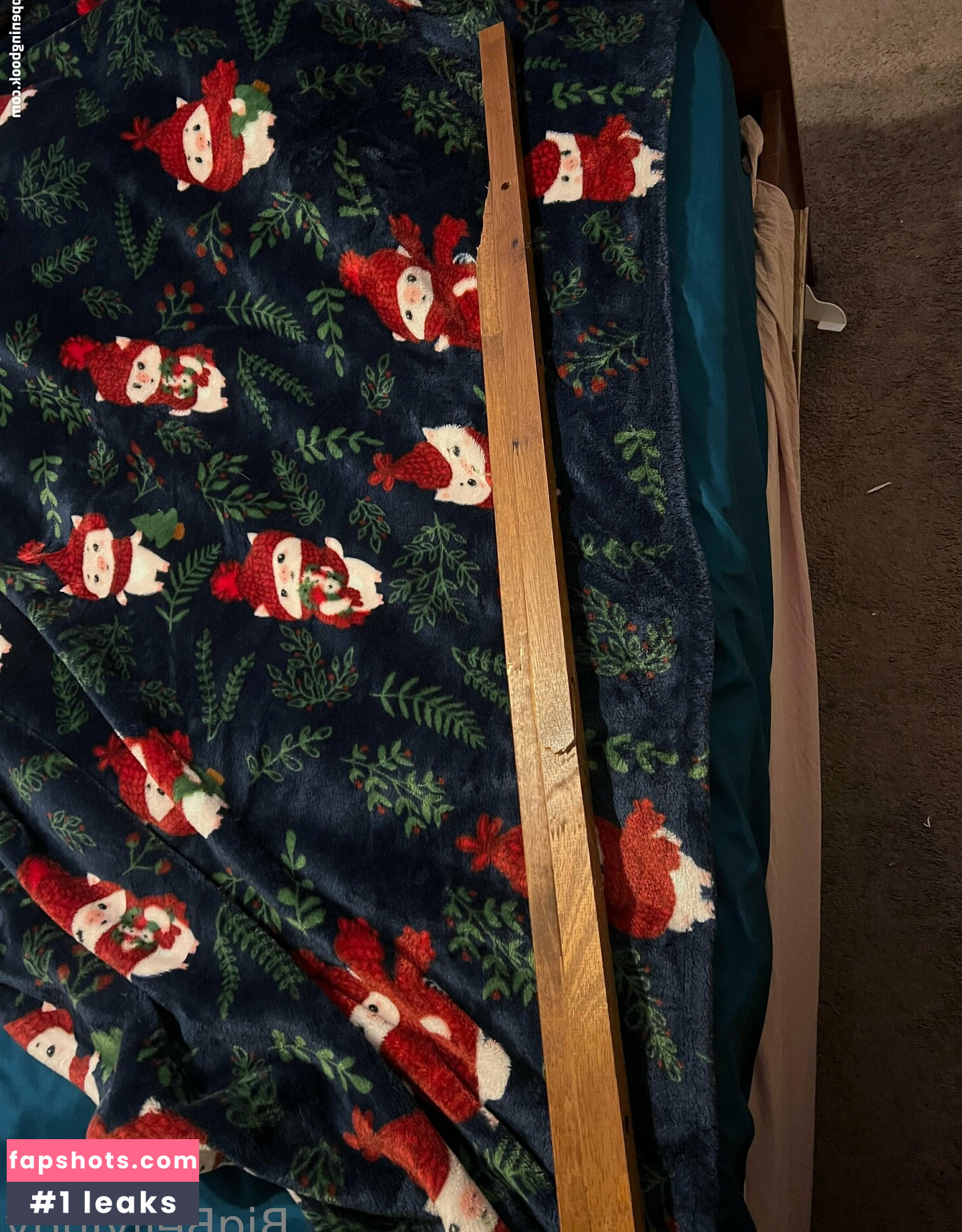 bigbellyjudy gallery photo #13