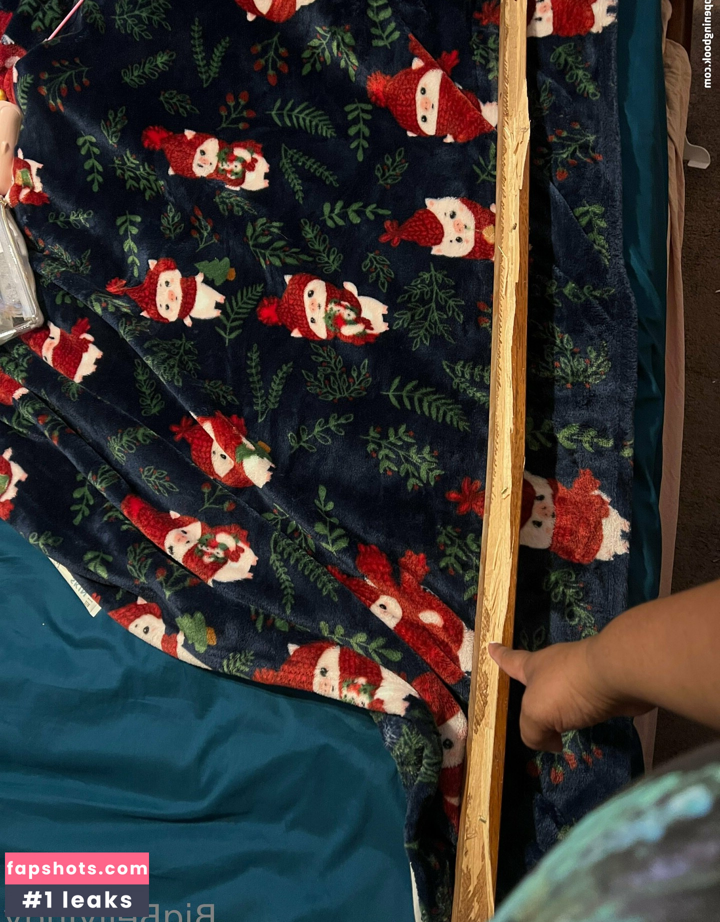 bigbellyjudy gallery photo #22