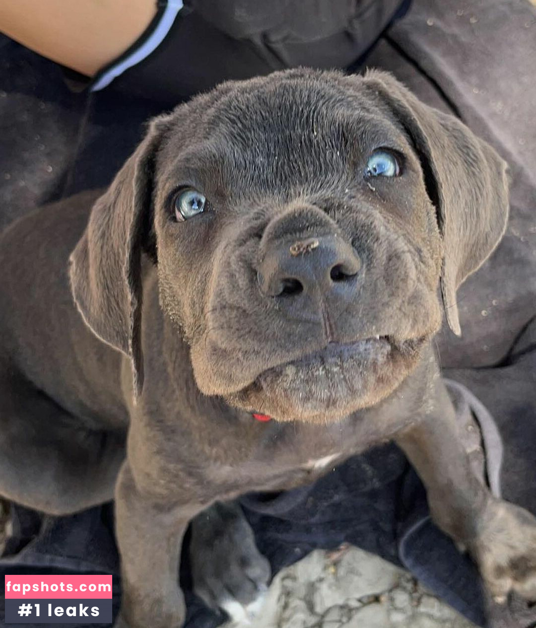 BigBitted75 gallery photo #3