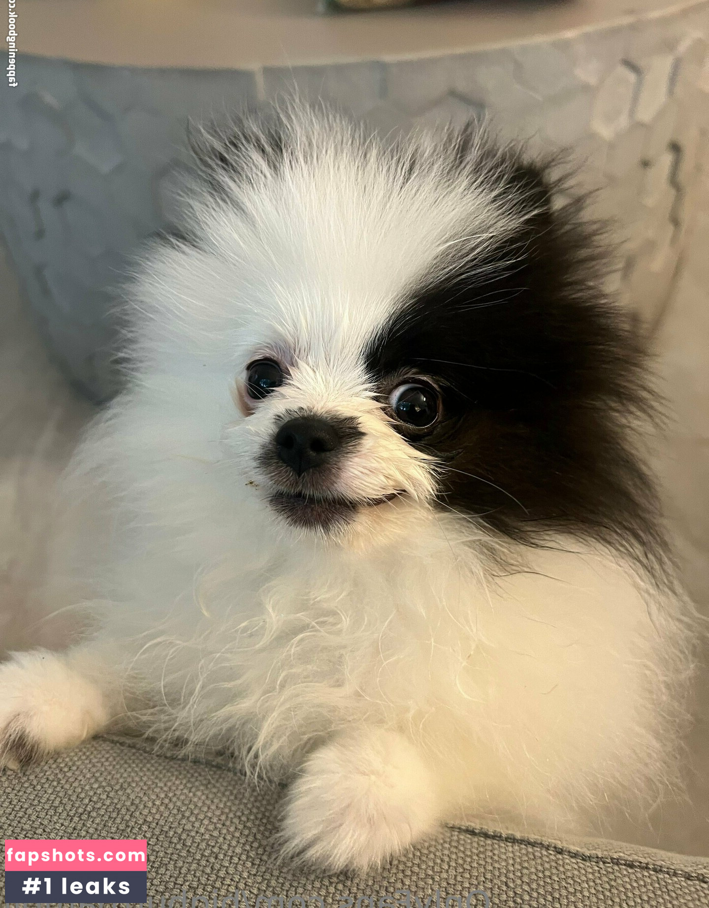 bigbuttbambii Nahé úniky fotek pouze od fanoušků #4 - Fapshots