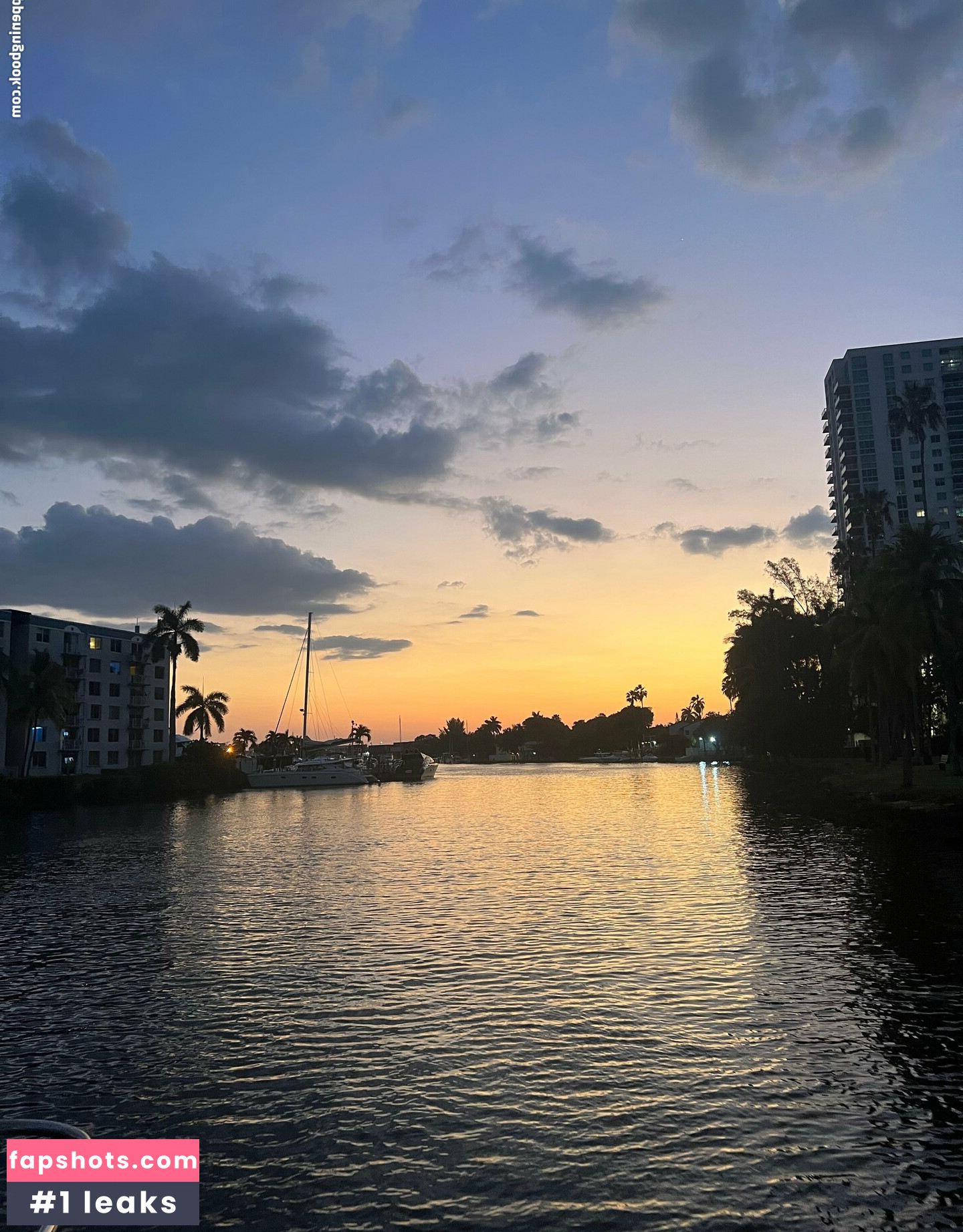 bigduchvip gallery photo #10