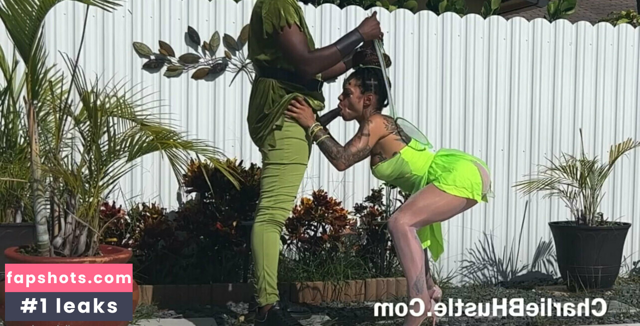 bigmingo gallery photo #6