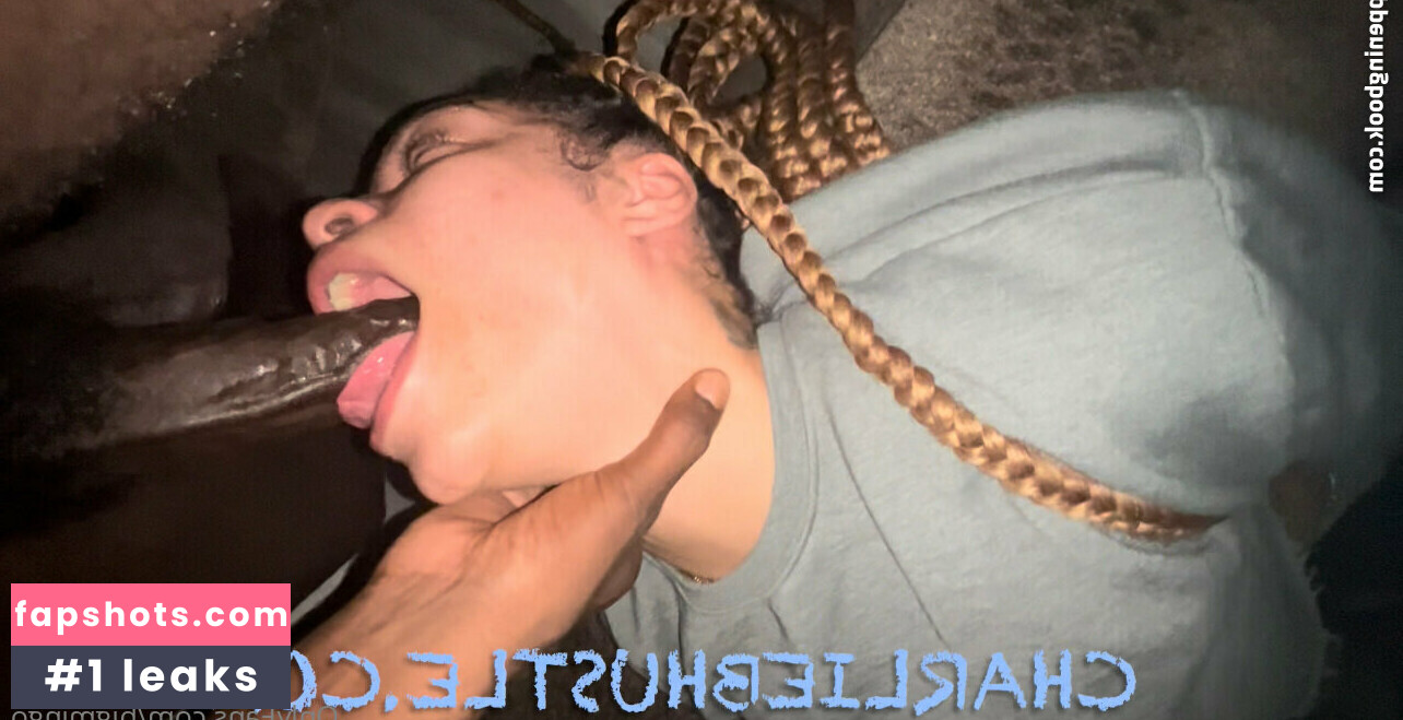 bigmingo gallery photo #9