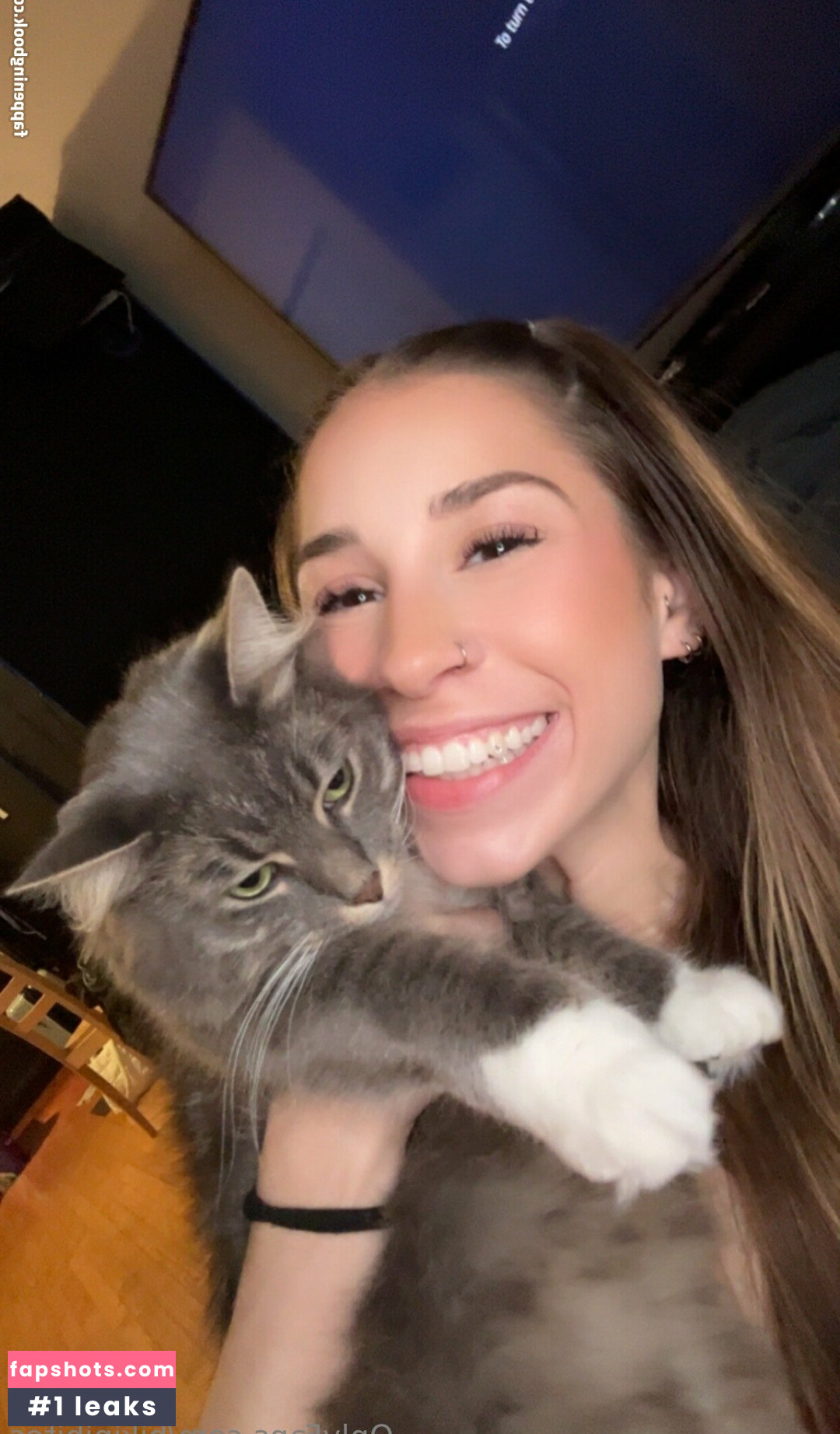 bikinibites gallery photo #40