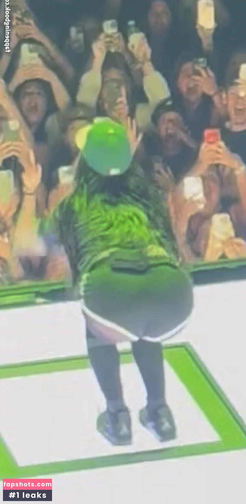 Billie Eilish Nacktheit OnlyFans Fotos #22 - Fapshots