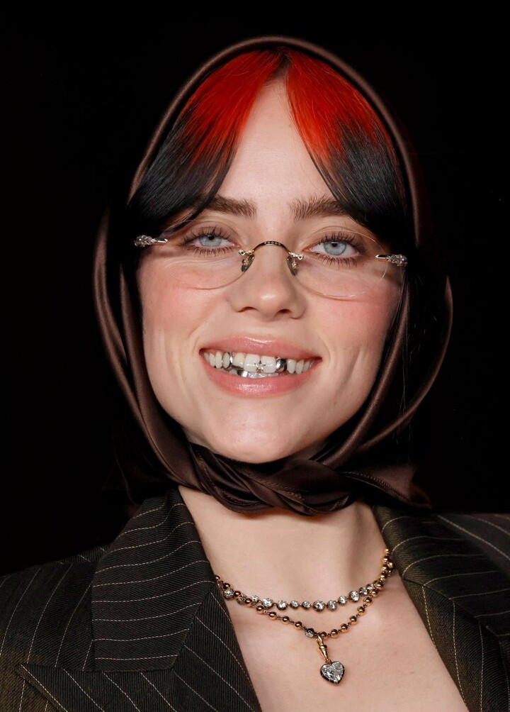 billie-eilish gallery photo #1255