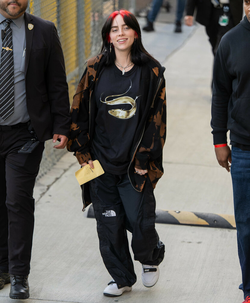 billie-eilish gallery photo #1673