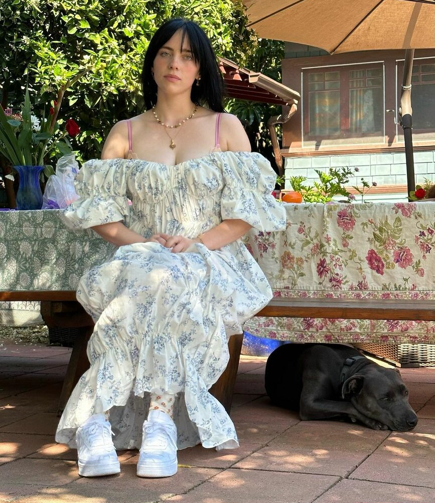 billie-eilish gallery photo #2300