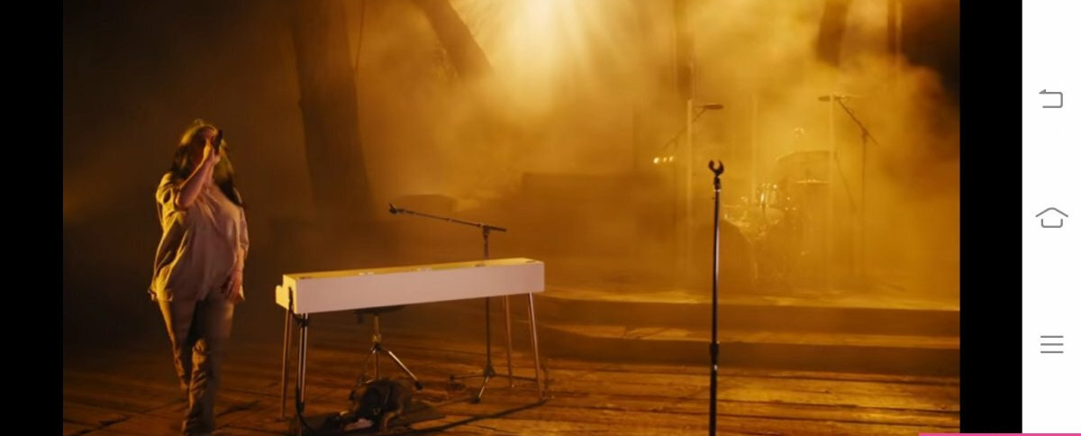 billie-eilish Nahé úniky fotek pouze od fanoušků #955 - Fapshots