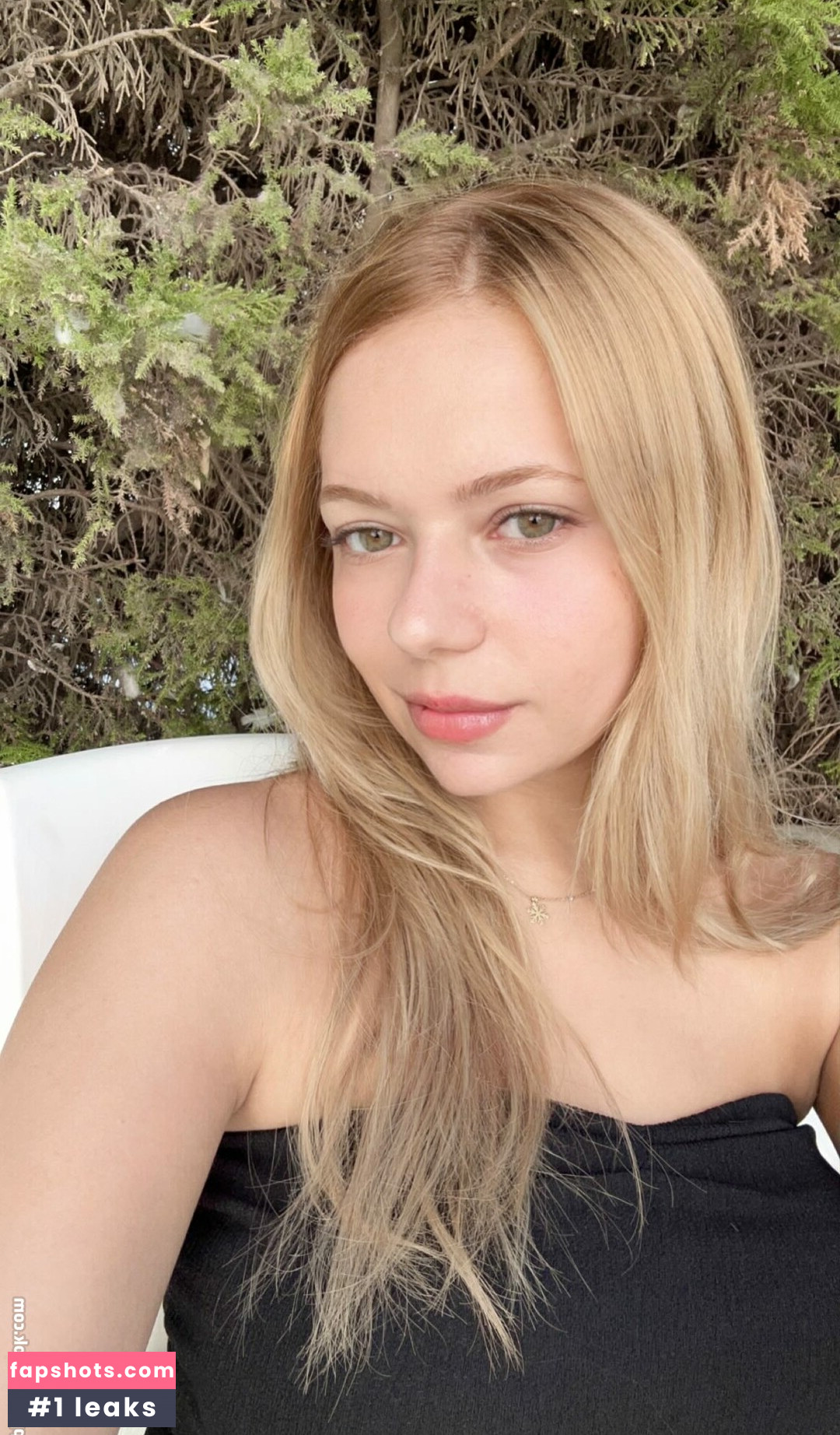 biranset gallery photo #5