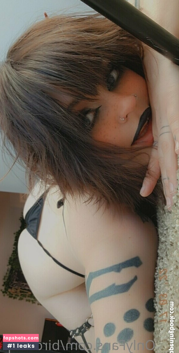 birdcoup gallery photo #17