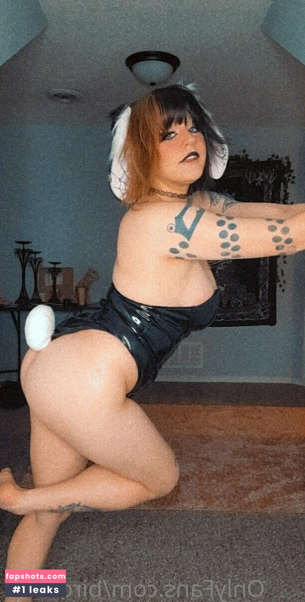 birdcoup gallery photo #30