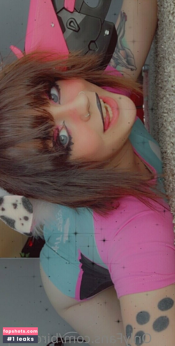 birdcoup gallery photo #8