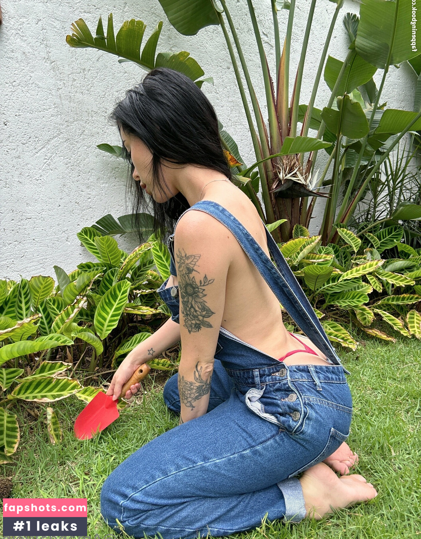 Blizzard gallery photo #21