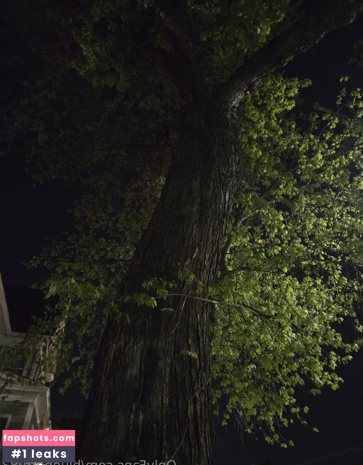 blueberry83 Nude Leaks OnlyFans Photos #15 - LeakJerk