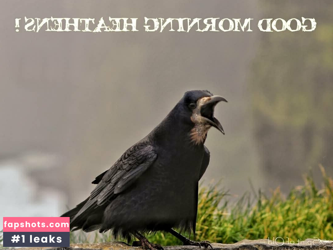 blueberry83 gallery photo #37