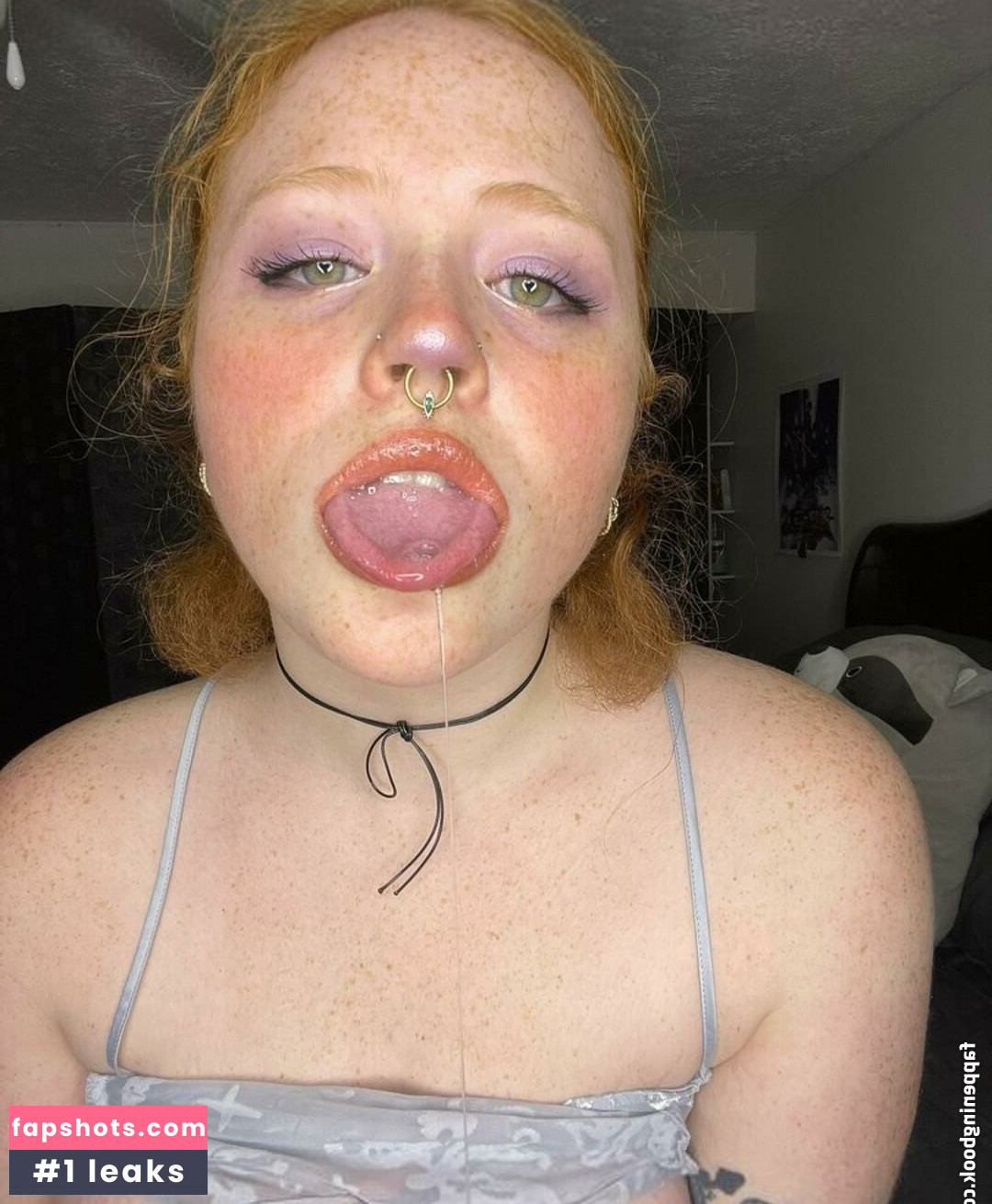 Bluetiernen gallery photo #21