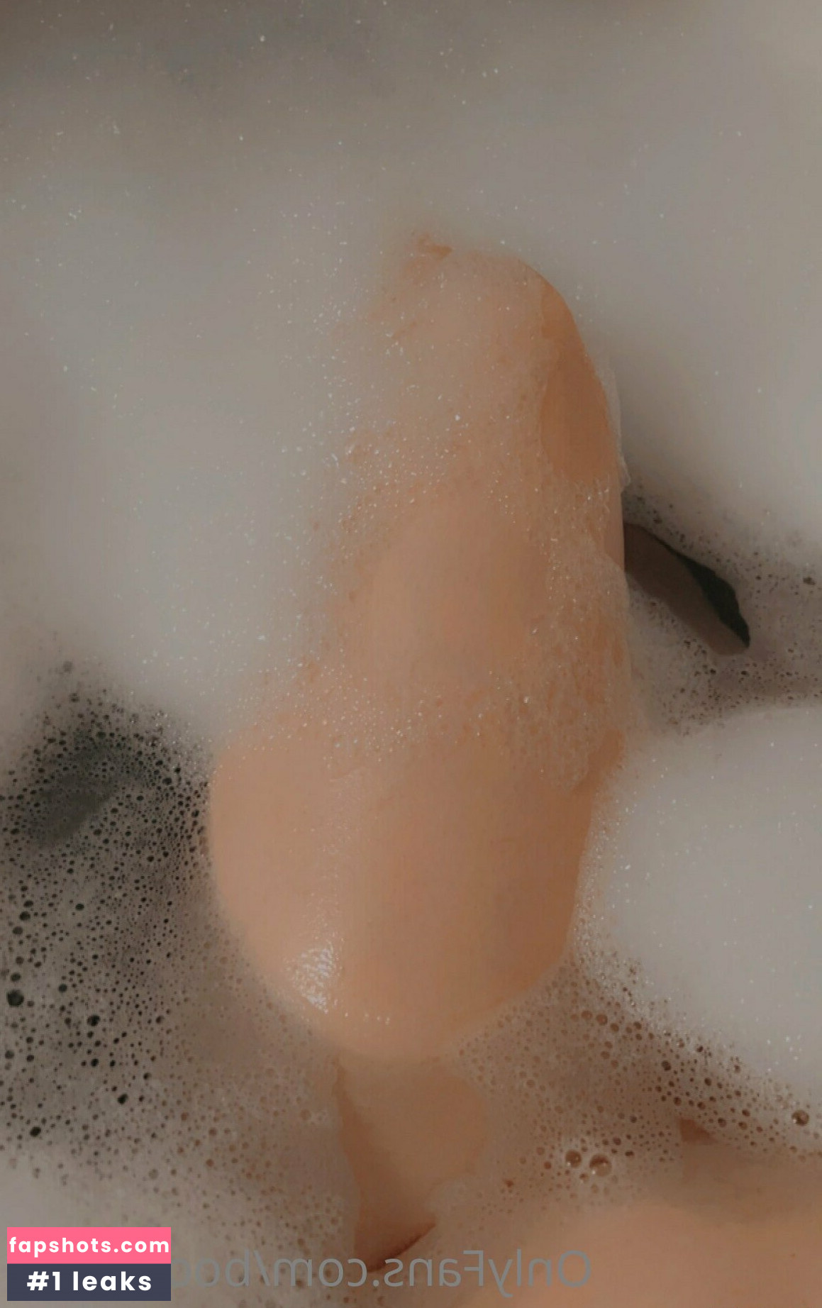 boobasaur gallery photo #19