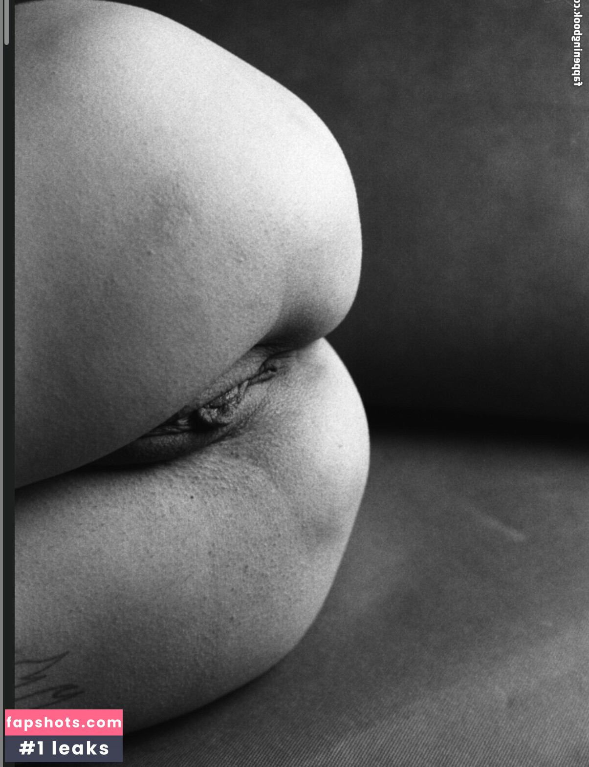 Bouler-fotograf gallery photo #5