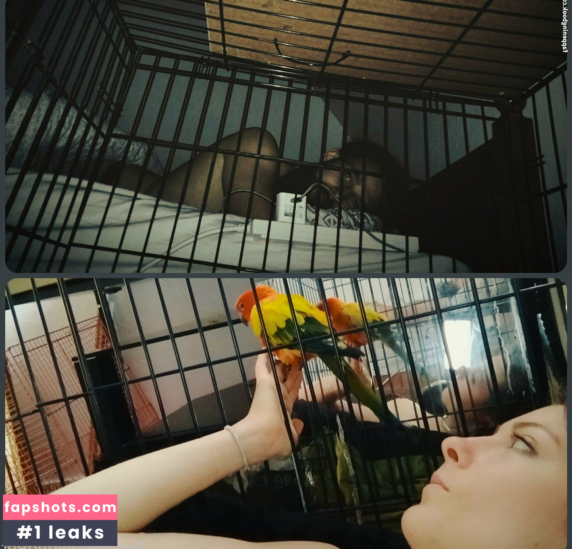 boundbyflames Nude Leaks OnlyFans Photos #3 - LeakJerk