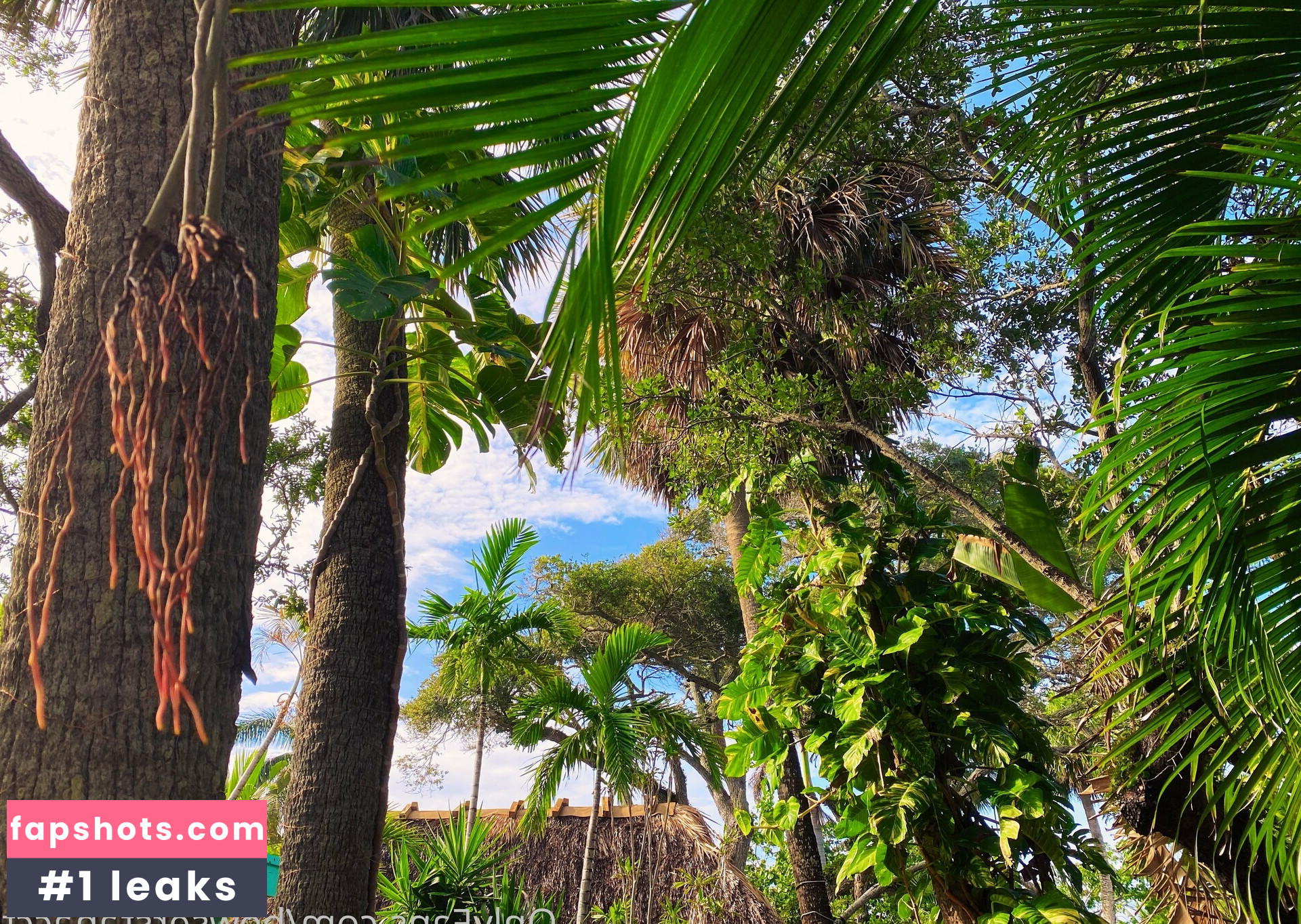 bowserstanacct gallery photo #47