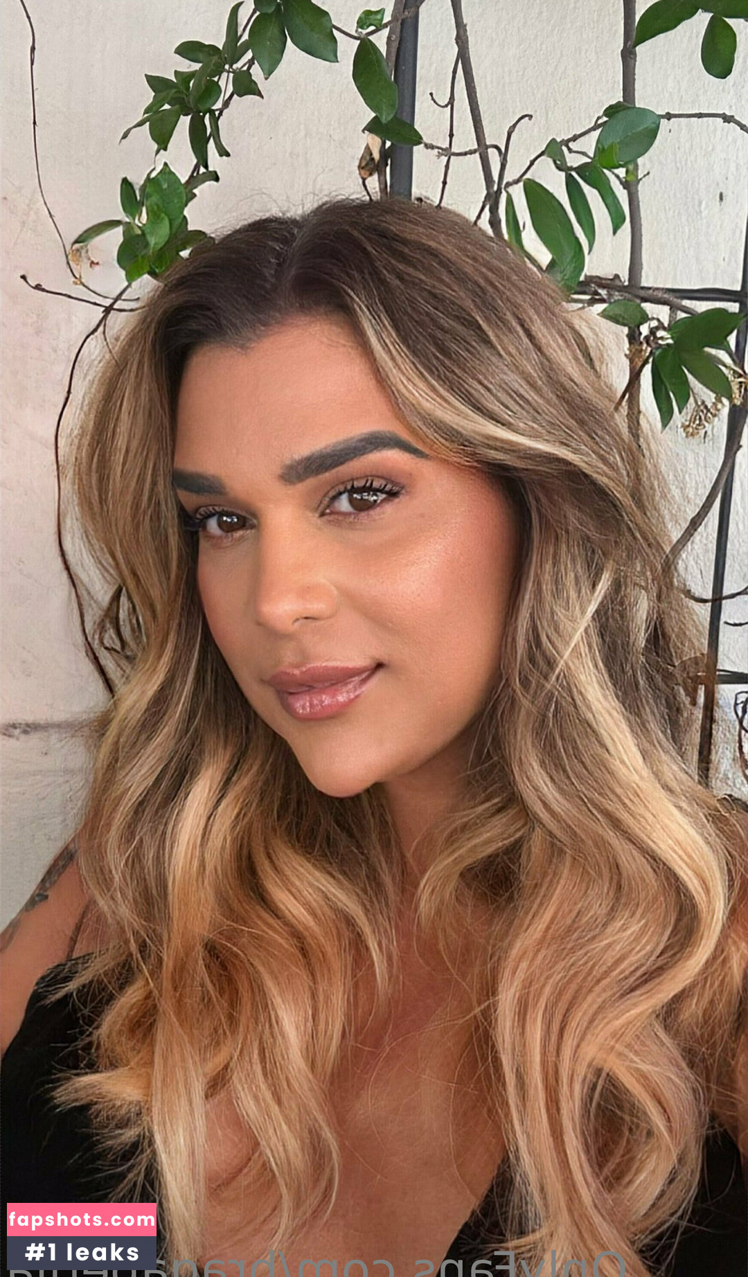 bragaperlla gallery photo #24