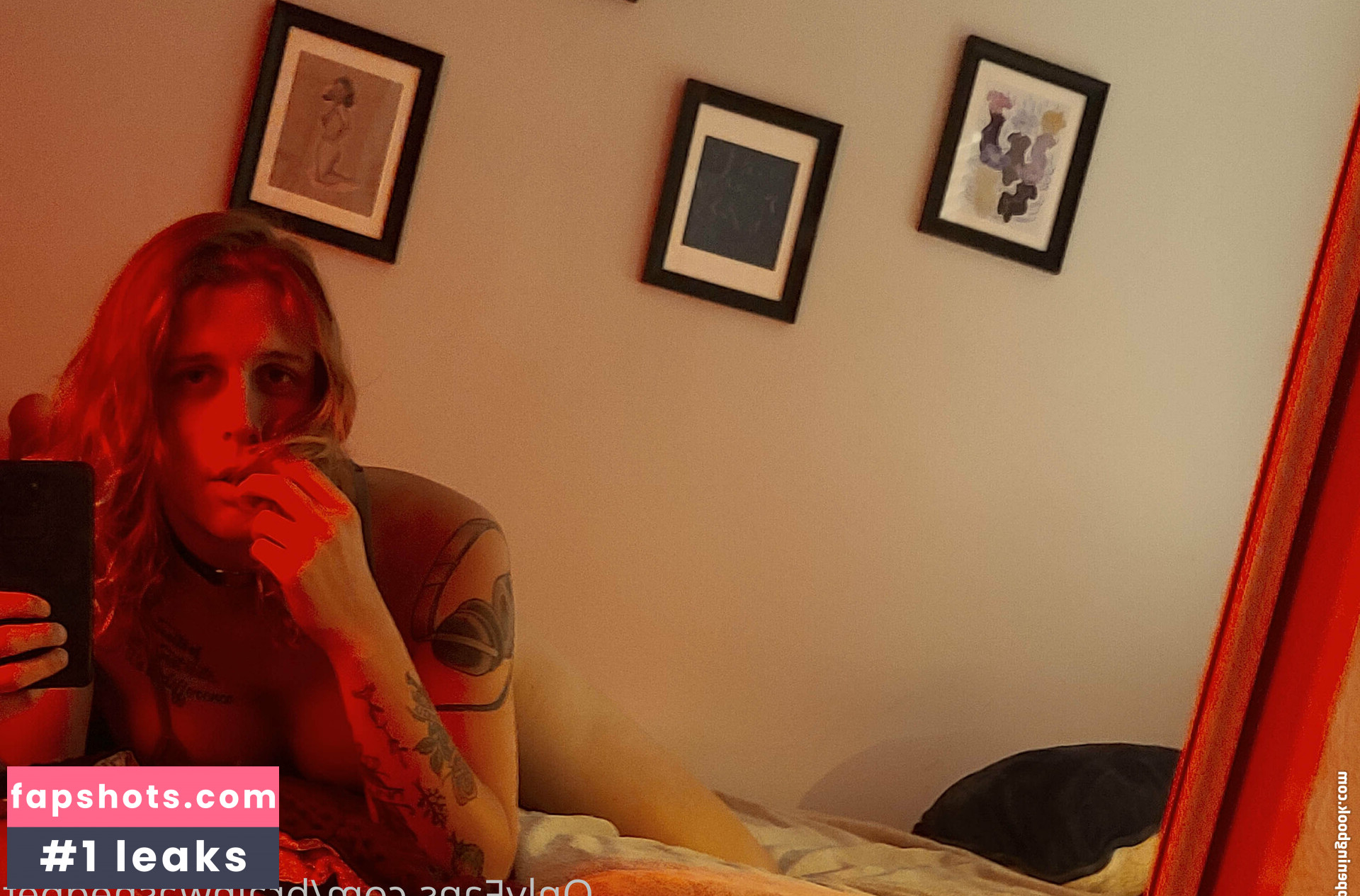 brainwashedpet gallery photo #13