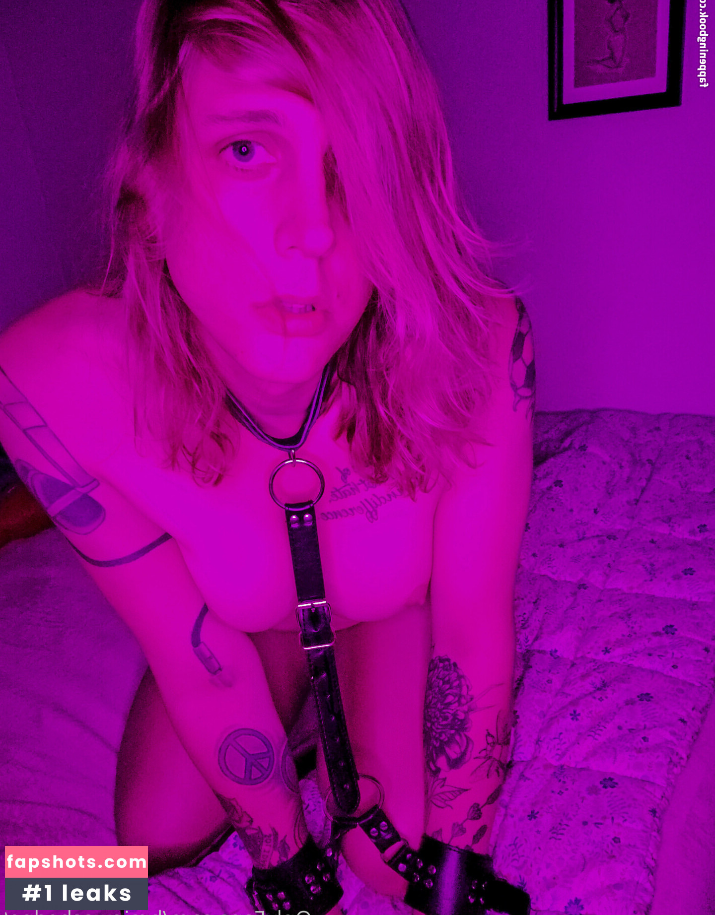 brainwashedpet gallery photo #14