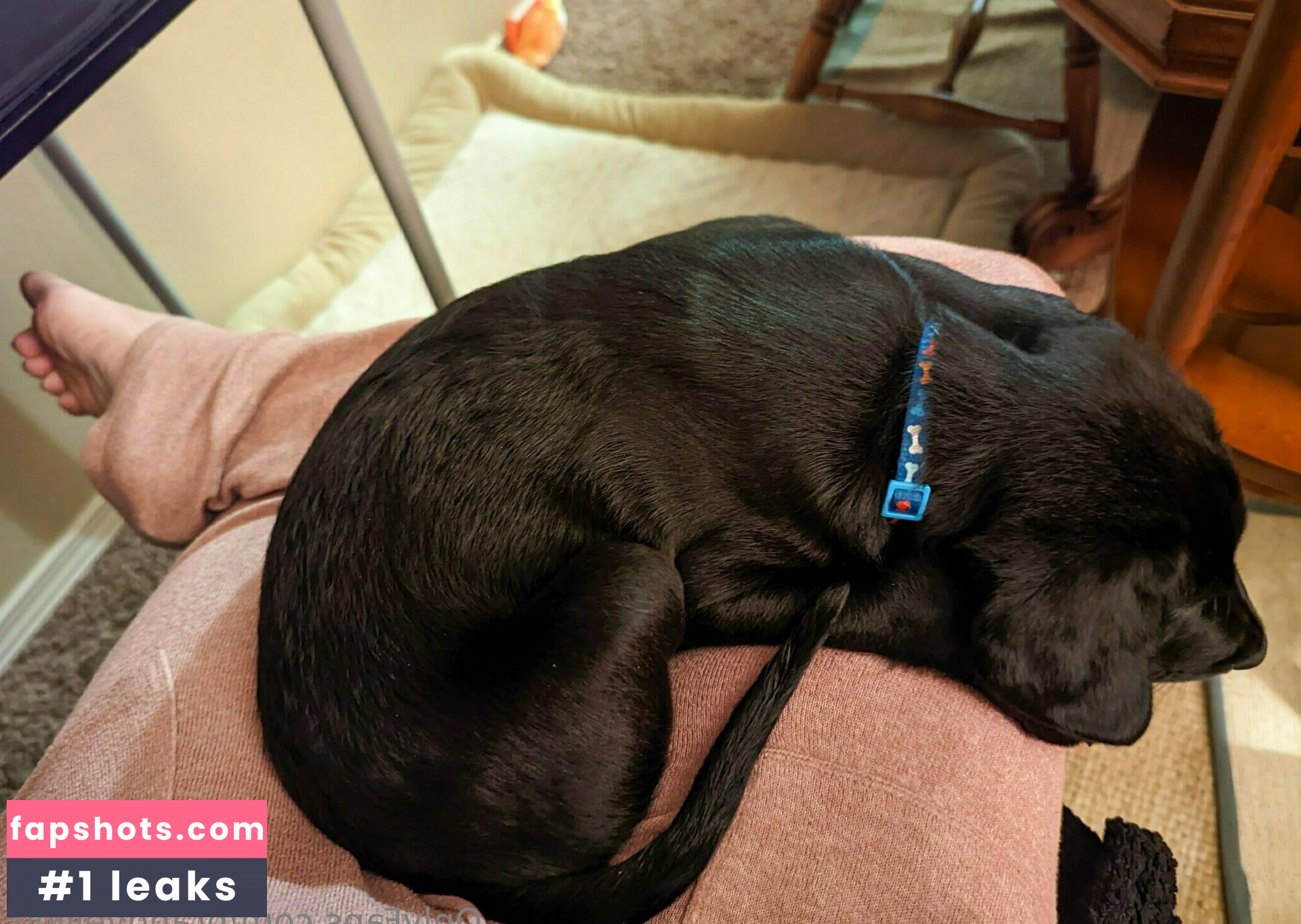 brandyelliott gallery photo #79