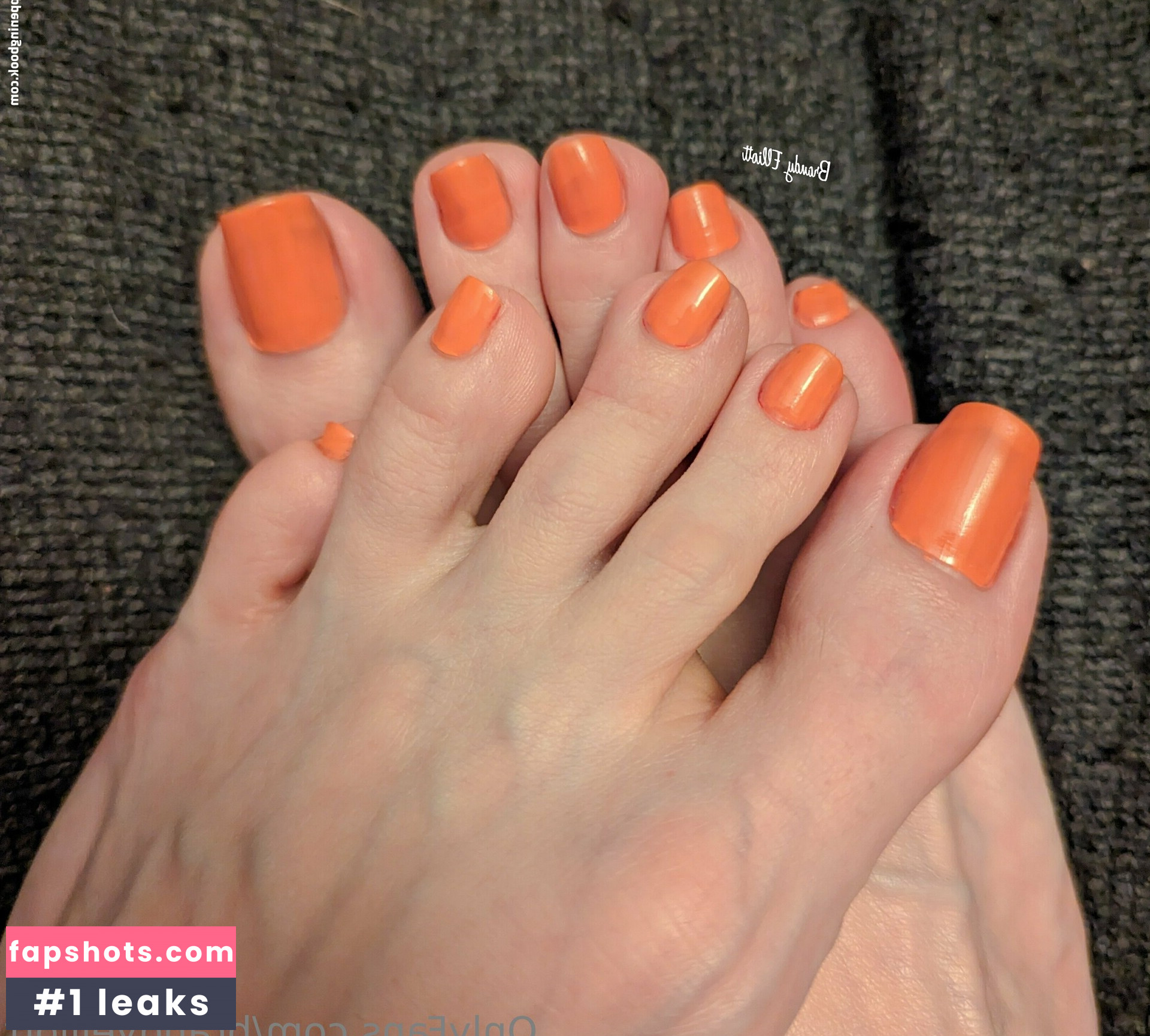 brandyelliott gallery photo #99