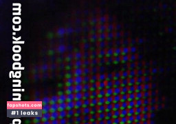 brandylicious gallery photo #26