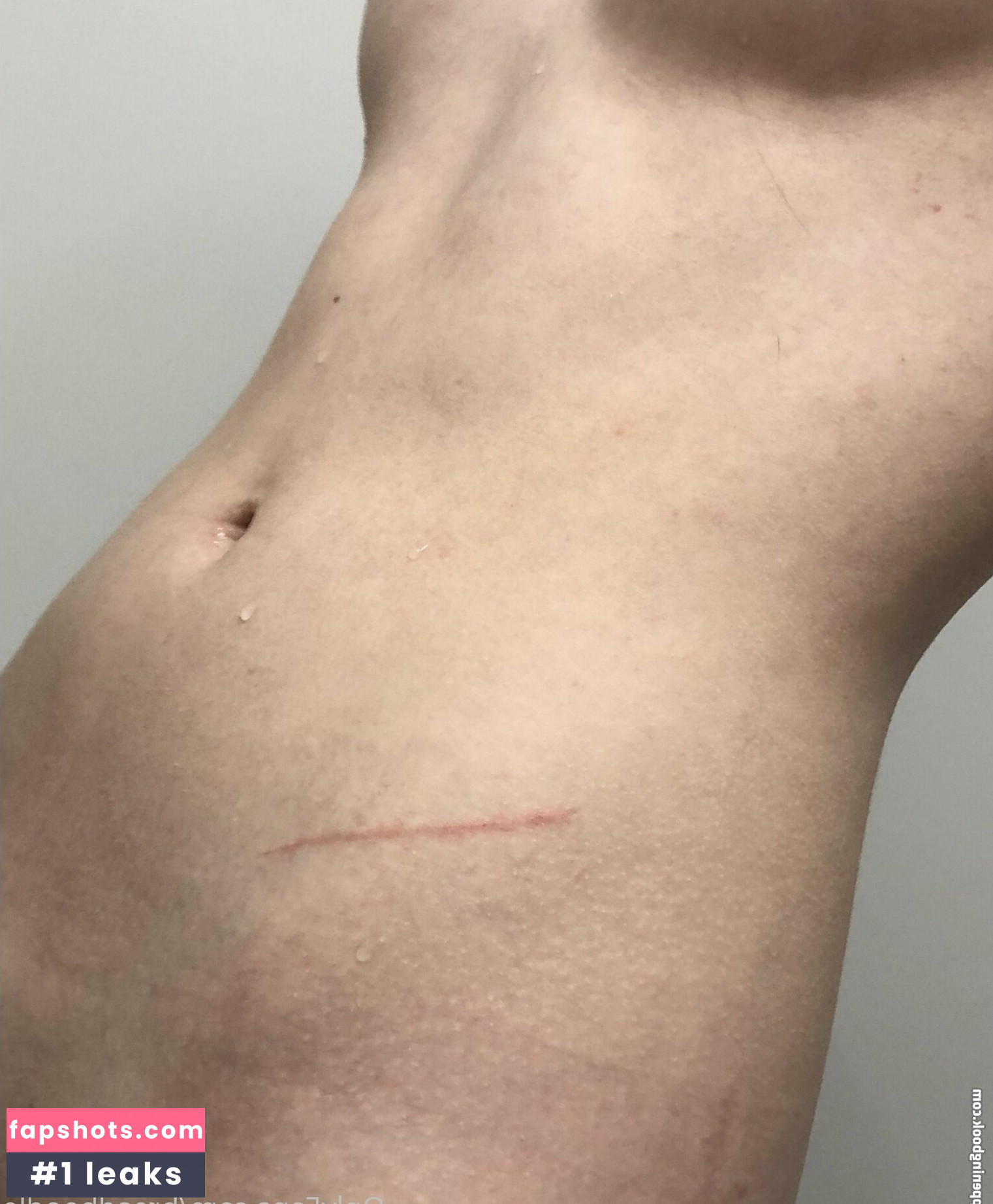 breadboodle gallery photo #58