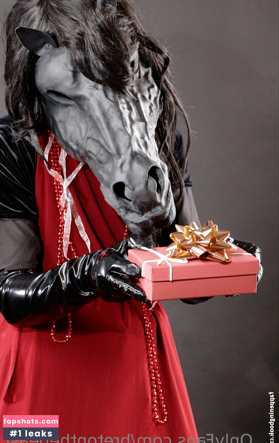 bretonthebeast gallery photo #36