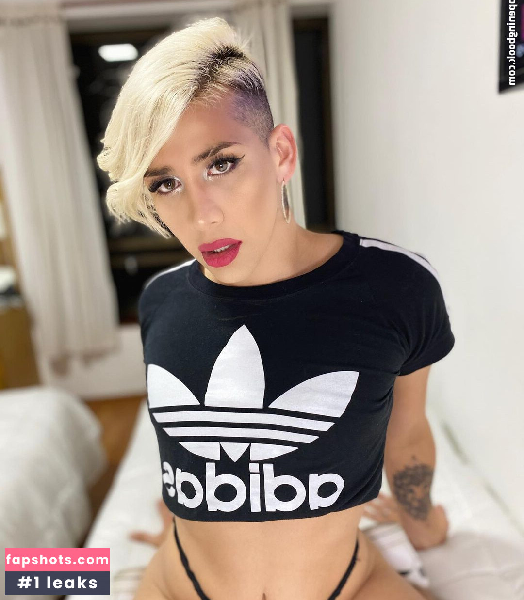 Brian Paz gallery photo #12