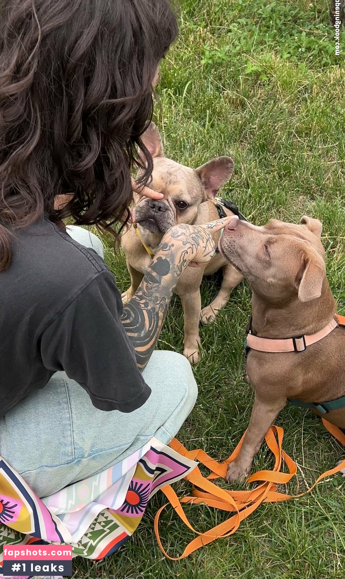 bribunn gallery photo #48