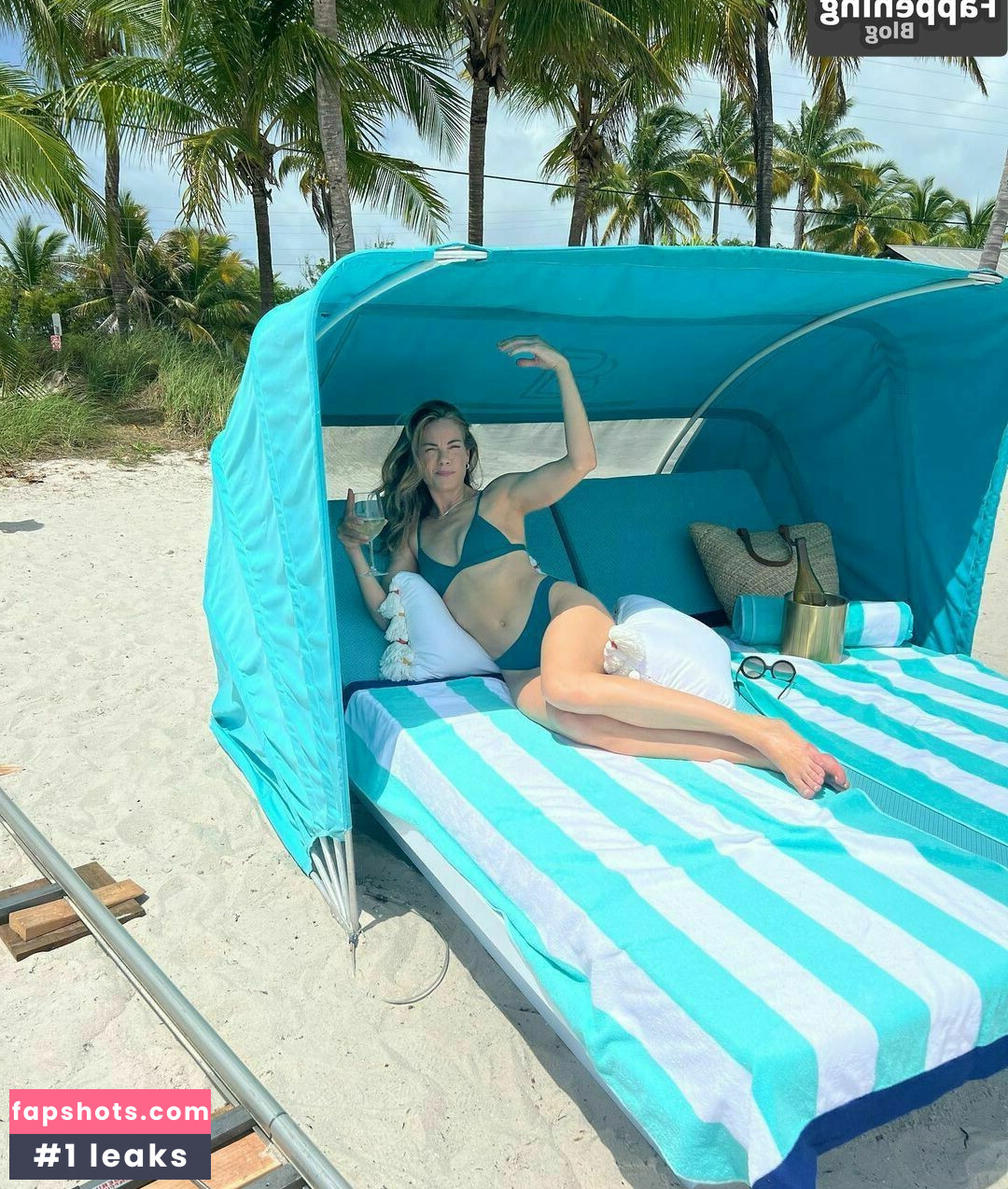 Bridget Moynahan Nahé úniky fotek pouze od fanoušků #32 - Fapshots