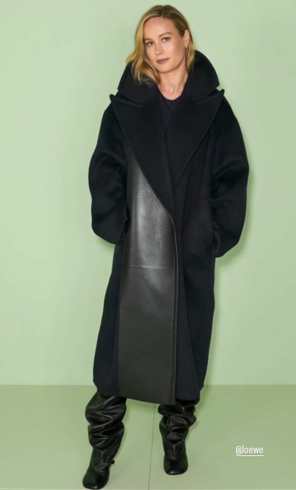 brie-larson-1 gallery photo #1026