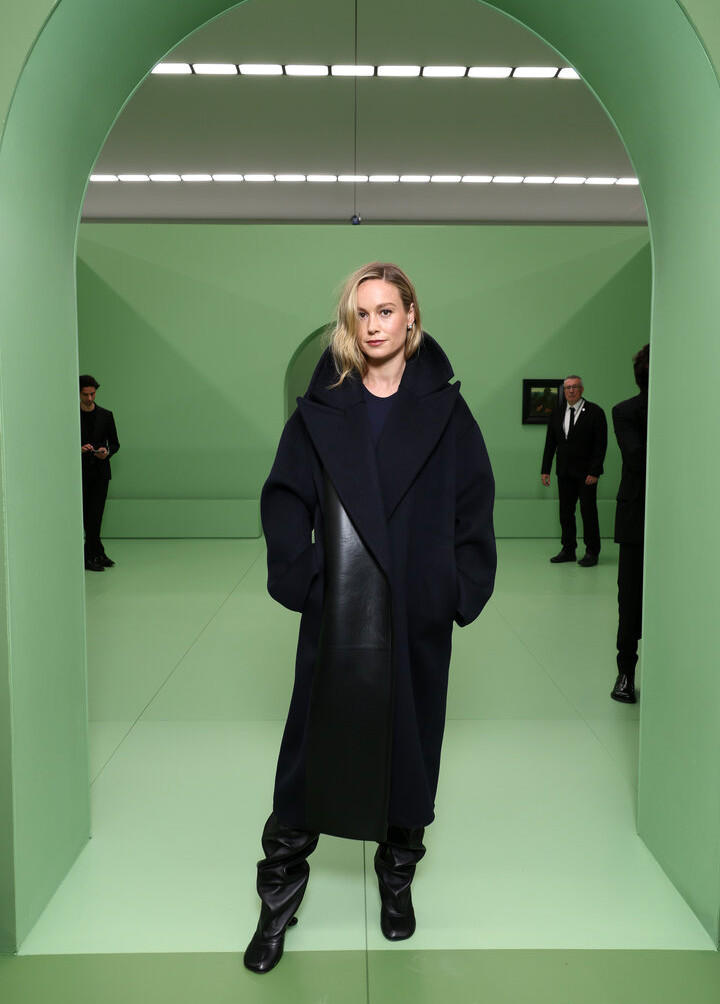 brie-larson-1 gallery photo #1029