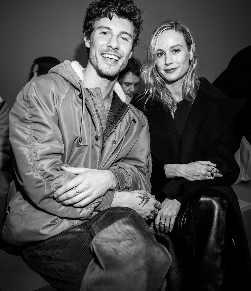 brie-larson-1 gallery photo #1031