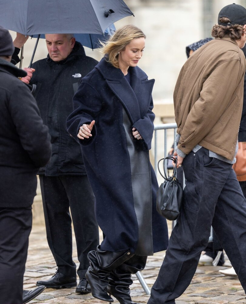 brie-larson-1 gallery photo #1032