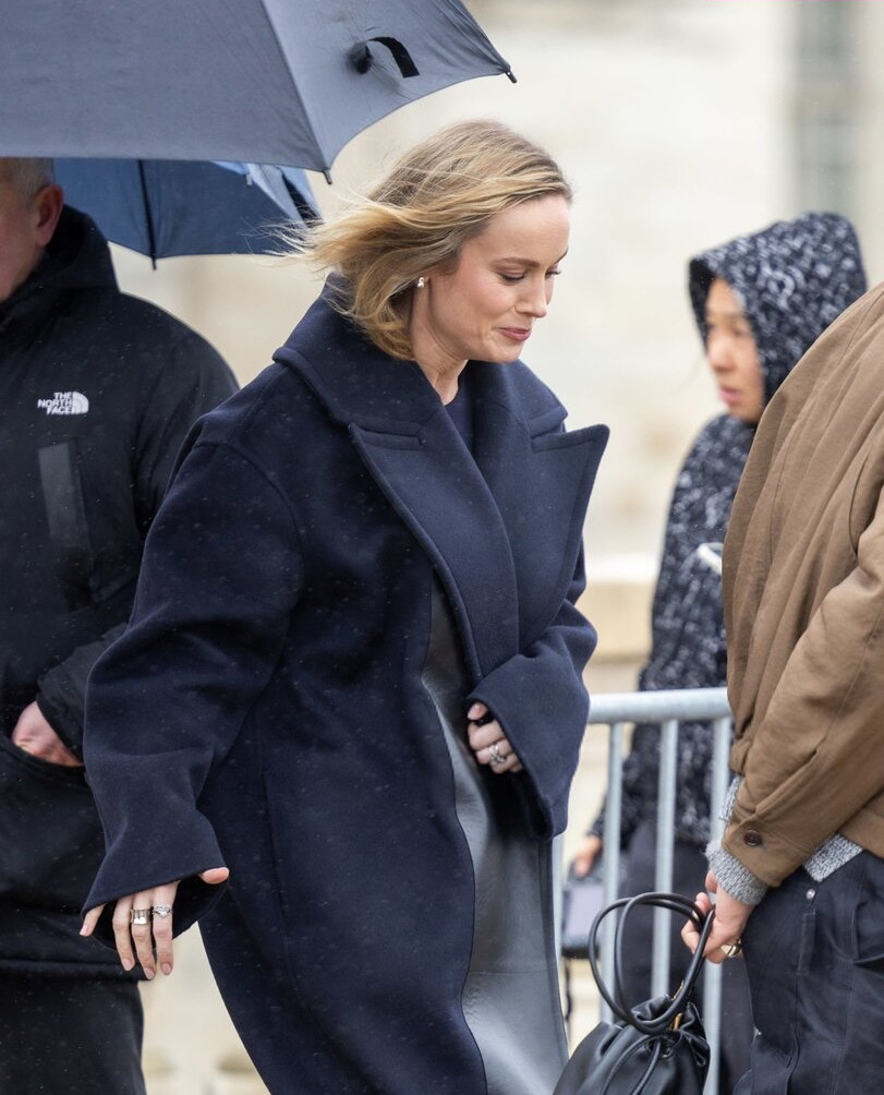 brie-larson-1 gallery photo #1033