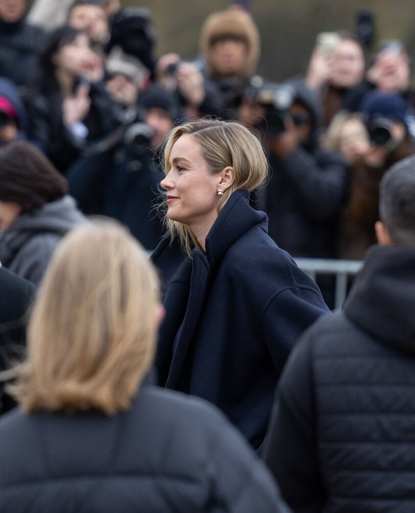 brie-larson-1 gallery photo #1036