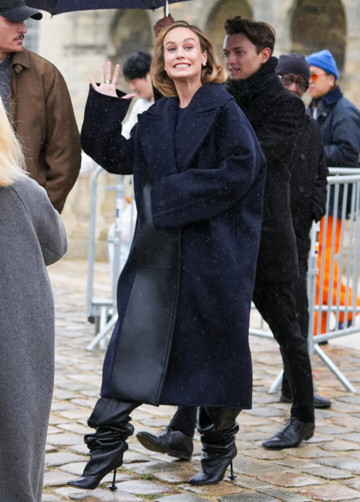 brie-larson-1 gallery photo #1038