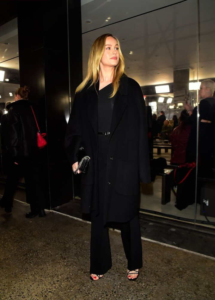 brie-larson-1 gallery photo #1136