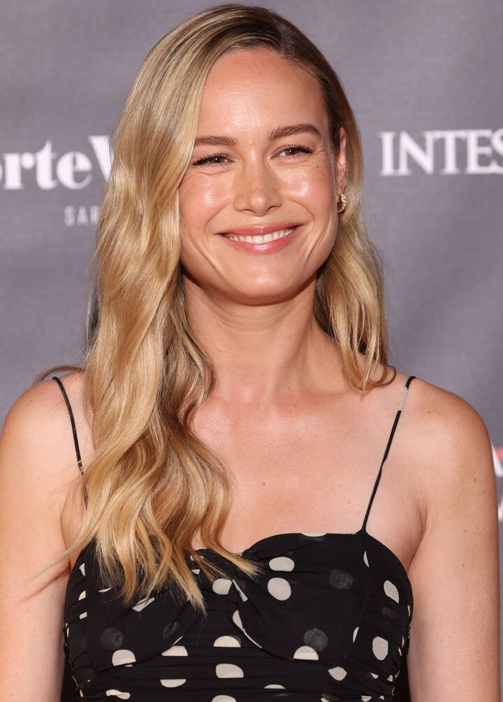 brie-larson-1 Nude Leaks OnlyFans Photos #427 - LeakJerk