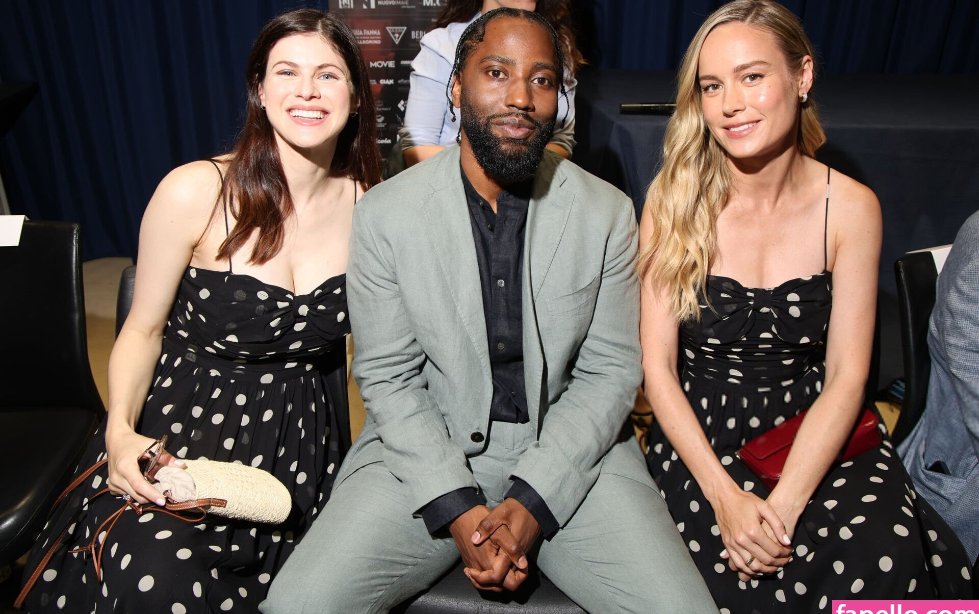 brie-larson-1 Nude Leaks OnlyFans Photos #435 - LeakJerk