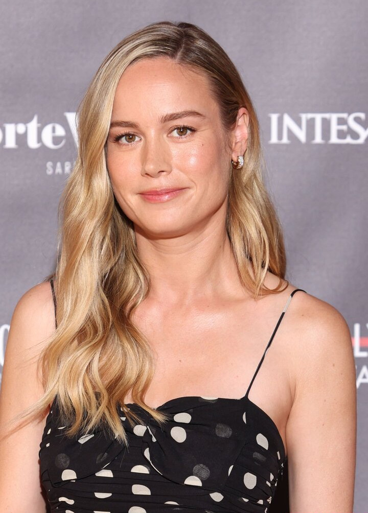 brie-larson-1 Nude Leaks OnlyFans Photos #439 - LeakJerk