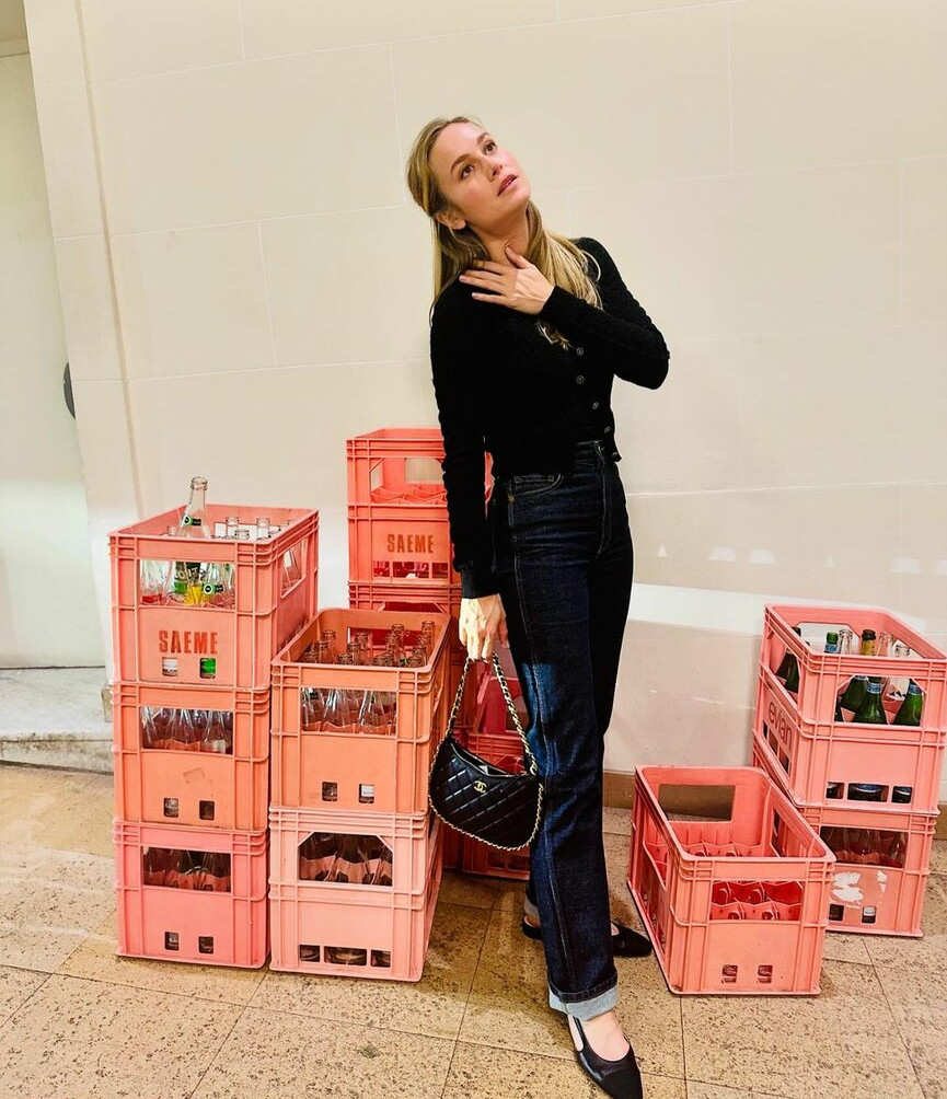 brie-larson-1 Nude Leaks OnlyFans Photos #441 - LeakJerk