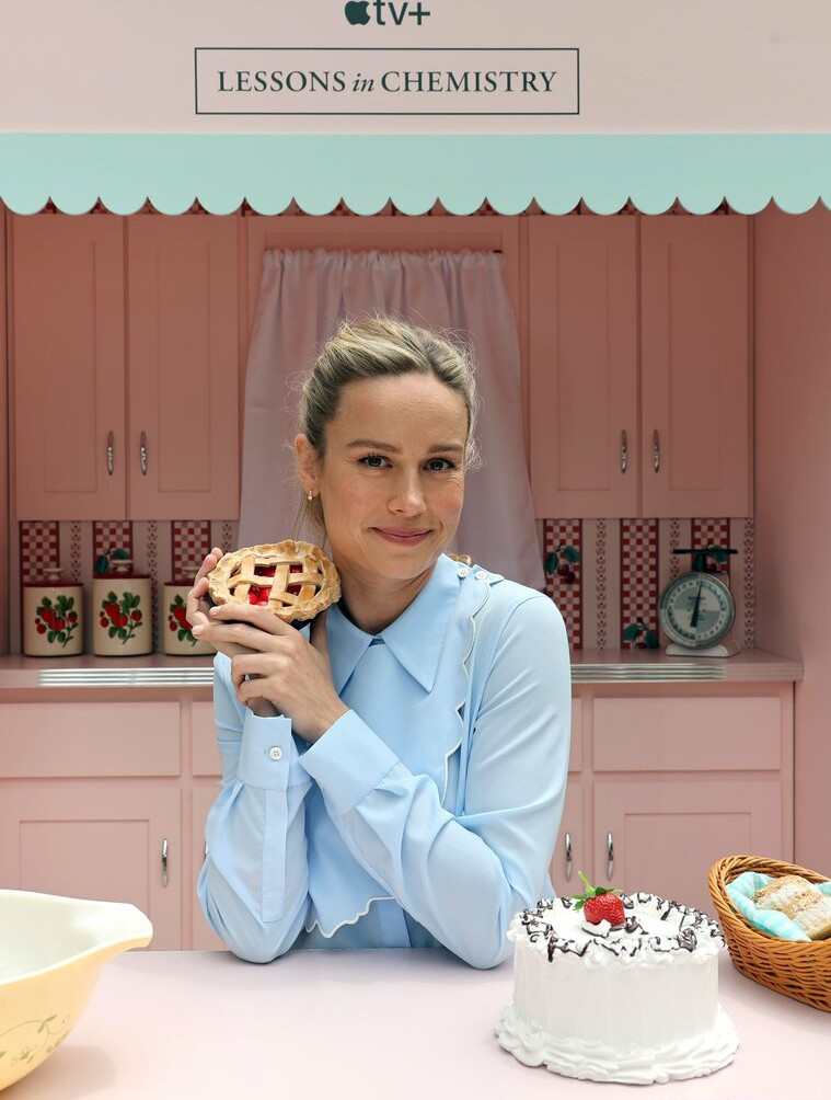 brie-larson-1 Nude Leaks OnlyFans Photos #484 - LeakJerk